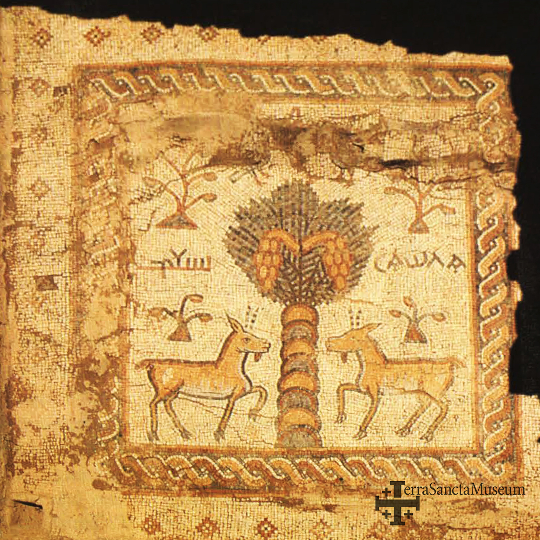 Mosaicos del Monte Nebo, siglos VI-VII 